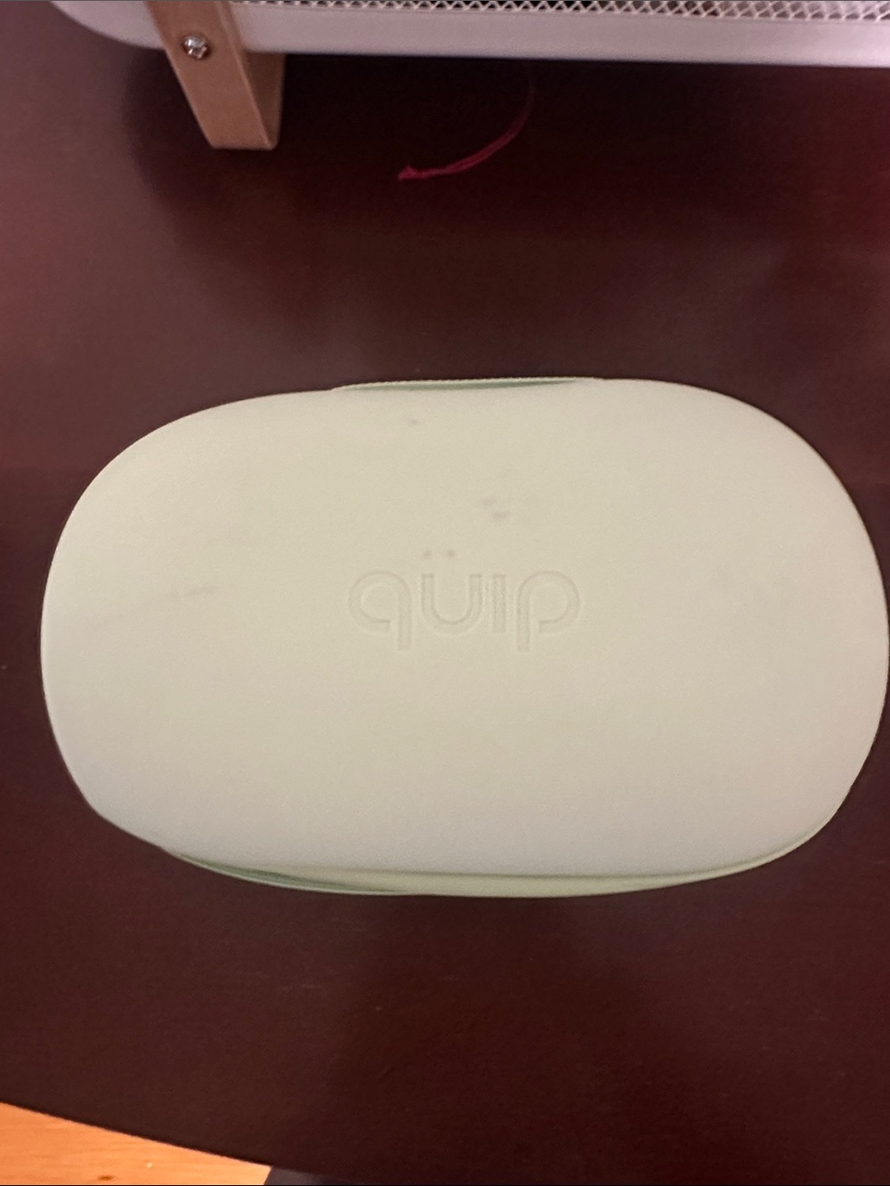 quip Mint Travel Toiltery Case